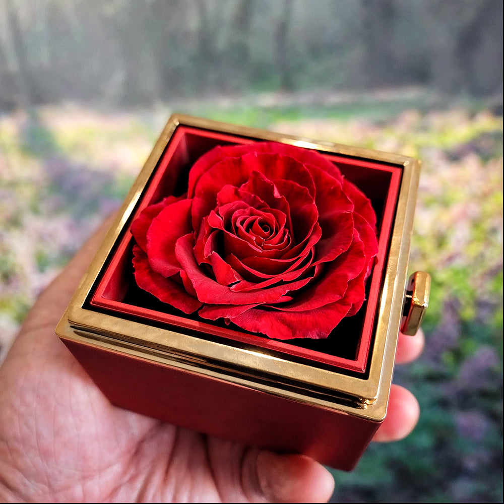 To My Mom - Thank You